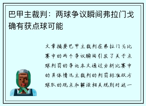 巴甲主裁判：两球争议瞬间弗拉门戈确有获点球可能